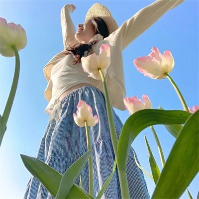 信蜂