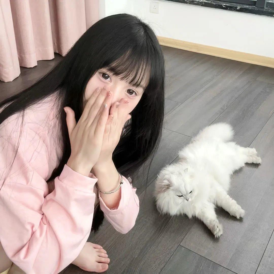 做一只鸟真不容易